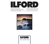 ILFORD STUDIO - Carta satinata, 250 g/mq, 10 fogli, formato A3, 297 x 420 mm, 50 fogli