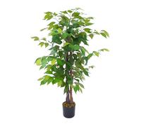 IlGruppone Pianta Finta Da Interno Artificiale Grandi Varie Altezze 100/150/180 Cm Artificiali Vari Modelli Modellabili Decorazioni Casa Ufficio - Albero di Fico - Altezza 150cm