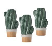 IlGruppone Set 3 Pezzi Umidificatore Aria per Calorifiero Evaporatore d'Acqua Termosifoni Stanza Riscaldamento Radiatore con Ganci Design Moderno Gatto Cuori Cucina Camera Cameretta - Cactus