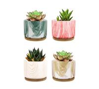 IlGruppone Set 4 Pezzi Vasi In Ceramica Con Decorazioni Fiori Piante Grasse Con Sotto Vaso In Bambù Foro Centrale Vasetti Cactus Decorazione Interno Esterno Con Foro Scarico Contenitore - 6Shades