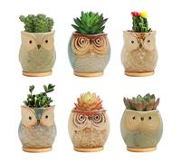IlGruppone Set 6 Pezzi Vasi In Ceramica Fiori Piante Grasse Gufi Con Sotto Vaso In Bambù Foro Centrale Cactus Decorazione Interno Esterno Casa Vasetto Con Foro Scarico Fioriera Contenitore - 1Gufetti