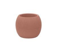 IlGruppone Vasetti Piante Grasse con Sottobicchiere Integrato Design Moderno Crea La Tua Composizione Varie Misure Colori Vasi Pianta Sottovaso Piantine Vaso Fiori - Terra - Rotondo 0,15 Litri