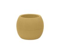 IlGruppone Vasetti Piante Grasse con Sottobicchiere Integrato Design Moderno Crea La Tua Composizione Varie Misure Colori Vasi Pianta Sottovaso Piantine Vaso Fiori - Giallo - Rotondo 0,15 Litri