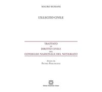 Illecito Civile