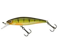 Illex Squad Minnow 65 SP 6.5cm 5.8g Suspending Esche Jerkbait NUOVI COLORI 2026
