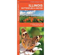 Illinois Butterflies & Moths: An Introduction to Familiar Species: A Folding Pocket Guide to Familiar Species