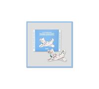 ILLIT MAMIHLAPINATAPAI [Gua Sha Ceramic Objet ver.] 4° Mini Album