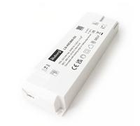 illuburg Trasformatore LED Dimmerabile TRIAC 900mA Corrente Costante 23W - 45W per Lampada LED Alimentatore Driver
