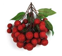 Illumina la tua casa con ciliegie ai mirtilli Longan Lychee frutta artificiale