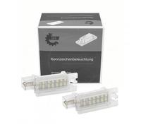 Illuminazione Fuoco LED Immersione Per Renault Megane I Scenic 7700842700