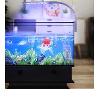 Illuminazione Per Acquari Acquario Luce L'acquario Coltiva La Le Piante