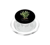 Illustrazione della pianta del serpente Dracaena trifasciata PopSockets PopGrip per MagSafe