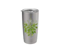 Illustrazione della pianta di basilico Ocimum basilicum Bicchiere termico in acciaio inox doppia parete