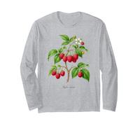Illustrazione della pianta di Lampone Rubus idaeus Maglia a Manica