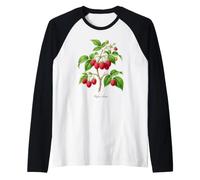 Illustrazione della pianta di Lampone Rubus idaeus Maglia con Maniche Raglan