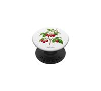 Illustrazione della pianta di lampone Rubus idaeus PopSockets PopGrip Adesivo