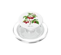 Illustrazione della pianta di lampone Rubus idaeus PopSockets PopGrip per MagSafe