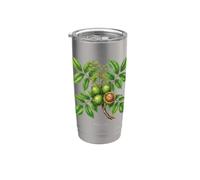 Illustrazione della pianta di noce Juglans regia Bicchiere termico in acciaio inox doppia parete