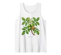 Illustrazione della pianta di Noce Juglans regia Canotta