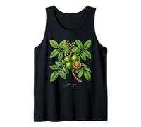 Illustrazione della pianta di Noce Juglans regia Canotta
