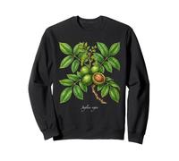Illustrazione della pianta di Noce Juglans regia Felpa