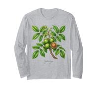 Illustrazione della pianta di Noce Juglans regia Maglia a Manica