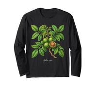 Illustrazione della pianta di Noce Juglans regia Maglia a Manica