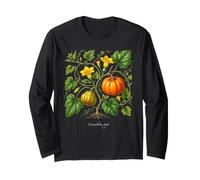 Illustrazione della pianta di Zucca Cucurbita Pepo Maglia a Manica