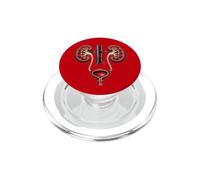 Illustrazione medica di urologia nefrologia anatomia renale PopSockets PopGrip per MagSafe
