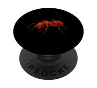 Illustrazione rossa della formica di toro PopSockets PopGrip Adesivo