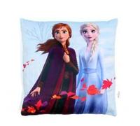 ILS I LOVE SHOPPING Cuscino Arredo 40x40 cm morbido con imbottitura 100% poliestere per FROZEN