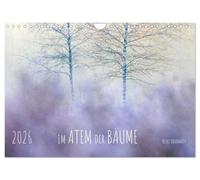 Im Atem der Bäume (Wandkalender 2026 DIN A4 quer), CALVENDO Monatskalender: Bäume im Fokus - klar, ruhig und von zeitloser Schönheit.