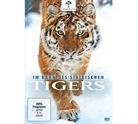 Im Bann des Sibirischen Tigers