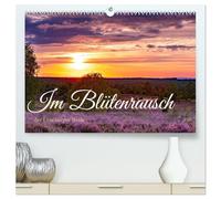 Im Blütenrausch der Lüneburger Heide (hochwertiger Premium Wandkalender 2026 DIN A2 quer), Kunstdruck in Hochglanz: Die Hauptblüte ist Mitte August.
