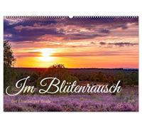 Im Blütenrausch der Lüneburger Heide (Wandkalender 2026 DIN A2 quer), CALVENDO Monatskalender: Die Hauptblüte ist Mitte August.