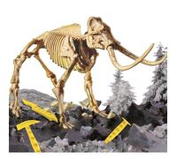 IM GENIUS Super Kit Mammoth Novità per bambini