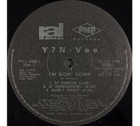 I'm going down (US) / Vinyl Maxi Single [Vinyl 12'']
