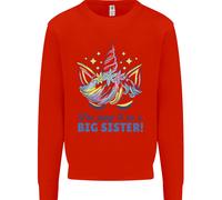I'M Going To Be A Big Sister Unicorn Bambini Felpa Maglione