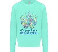I'M Going To Be A Big Sister Unicorn Bambini Felpa Maglione