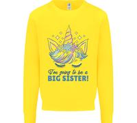 I'M Going To Be A Big Sister Unicorn Bambini Felpa Maglione