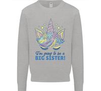 I'M Going To Be A Big Sister Unicorn Bambini Felpa Maglione