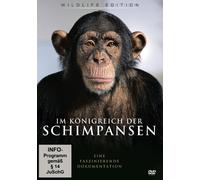 Im Königreich der Schimpansen