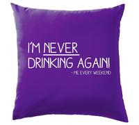 I'M Mai Bere di Nuovo - Cuscino - Divertente Pub Vino Birra Gin Love