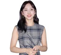 Im Na-yeon (Grey Dress) Half Body Buddy Cutout