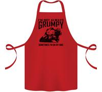 Im Non Always Grumpy Moto Motociclista Divertente Cotone Grembiule 100% Organico