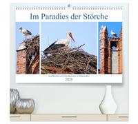 Im Paradies der Störche - Dorfkirchen als Storchkirchen in Ostpreußen (hochwertiger Premium Wandkalender 2026 DIN A2 quer), Kunstdruck in Hochglanz: Storchennester auf Kirchenruinen in Ostpreußen