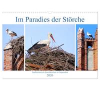 Im Paradies der Störche - Dorfkirchen als Storchkirchen in Ostpreußen (Wandkalender 2026 DIN A3 quer), CALVENDO Monatskalender: Storchennester auf Kirchenruinen in Ostpreußen