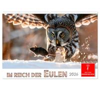 Im Reich der Eulen (Wandkalender 2026 DIN A2 quer), CALVENDO Monatskalender: Eine Hommage an die schönen lautlosen Jäger der Nacht.