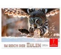Im Reich der Eulen (Wandkalender 2026 DIN A4 quer), CALVENDO Monatskalender: Eine Hommage an die schönen lautlosen Jäger der Nacht.