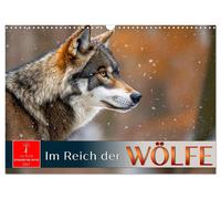 Im Reich der Wölfe (Wandkalender 2027 DIN A3 quer), CALVENDO Monatskalender
